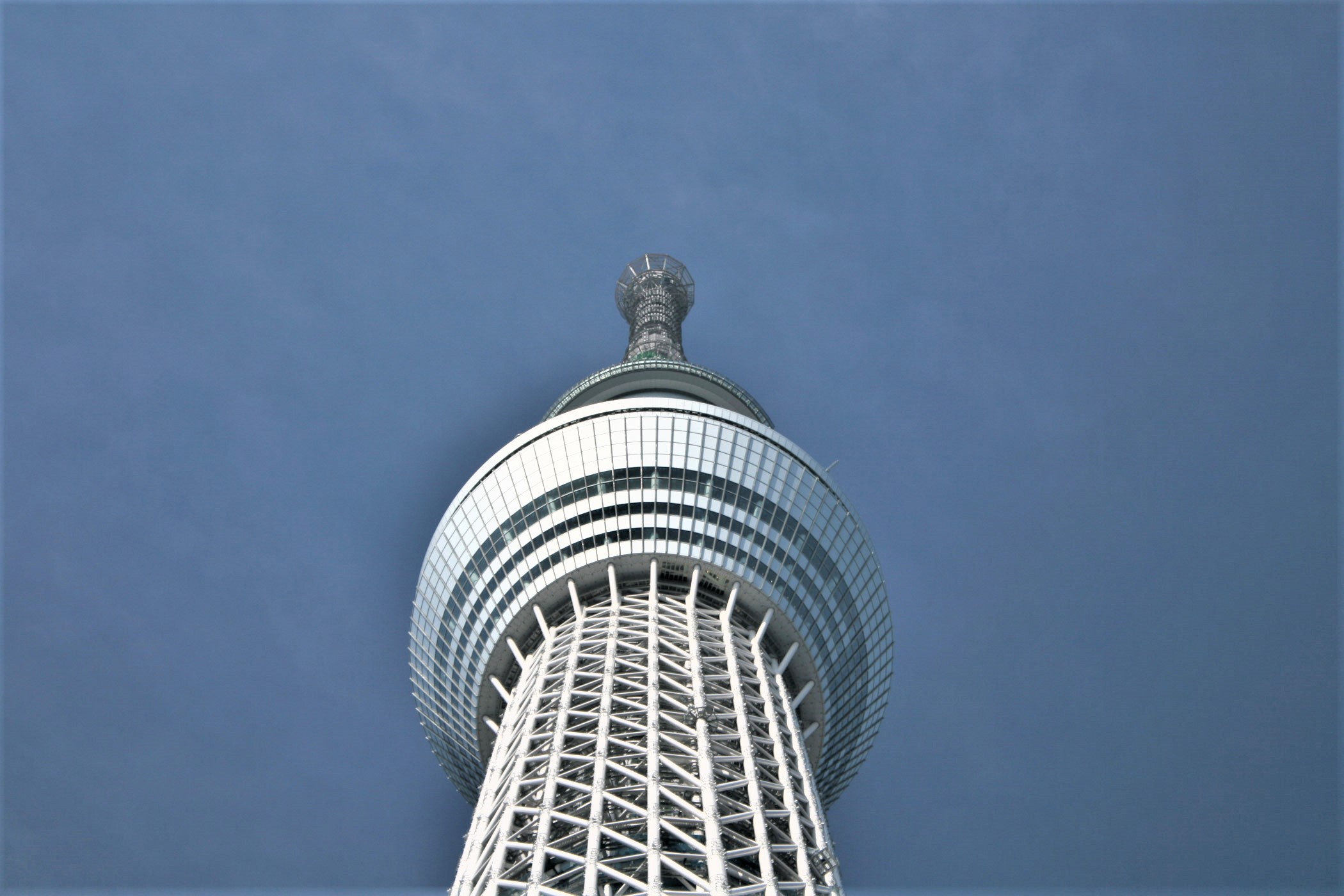 スカイツリーと築地を巡る東京満喫日帰りツアー